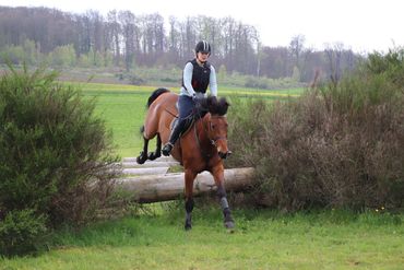 Geländetraining auf Hof Hirtenberg