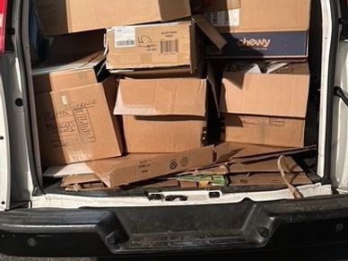 Card Board Box removal Taunton ma