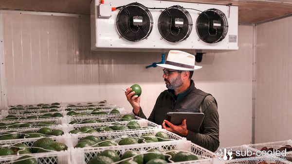 Cold Room serviceability is vital for our business customers in Maryborough