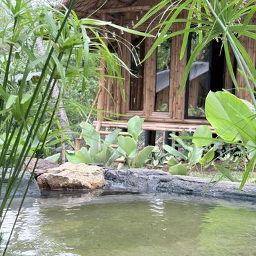 Serene garden pond with lush greenery and a bamboo hut in the background.