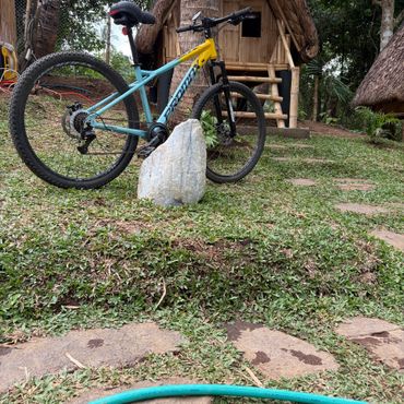A mountain bike parked on grass near a bamboo hut in a lush garden.