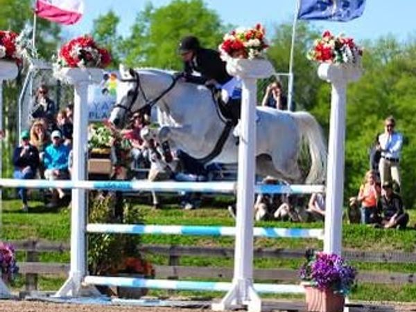 Equestrian rider and horse jumping over an obstacle in a competition.