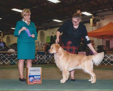 Finn in the winners circle