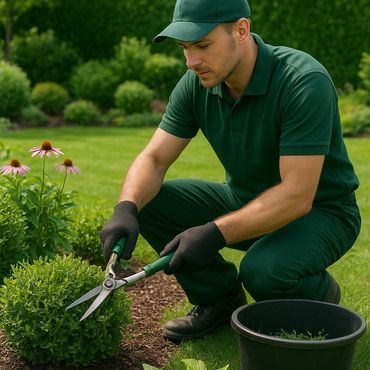 Gardener trimming a bush with shears in a lush garden.