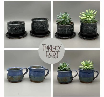 succulent pot