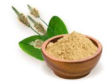 Psyllium husks powdered in bowl with raw plant next to it. Used to make our Capsules