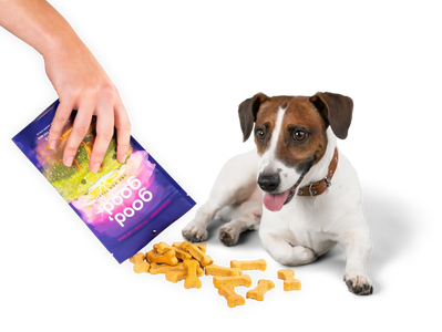 Dog treats being poured from a packet next to a happy dog.
