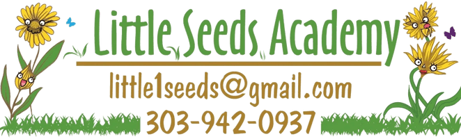 Little Seeds Academy Website
