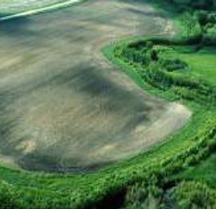 The State of Minnesota has been discussing Buffers to improve water quality in the state.