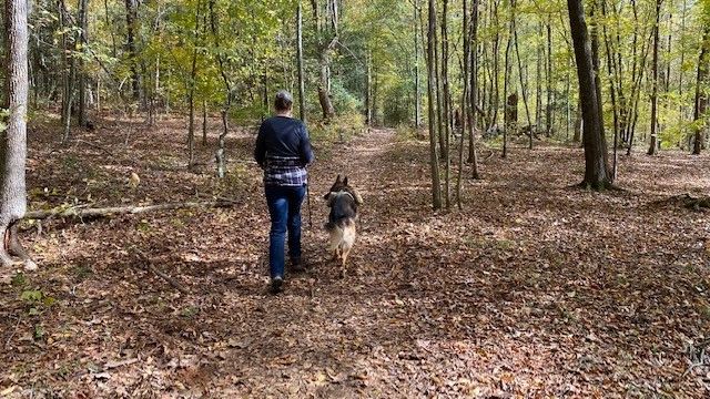 Dog trainer walking with her dog