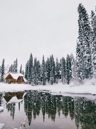 Snow-covered cabin by a pine forest and reflective lake.