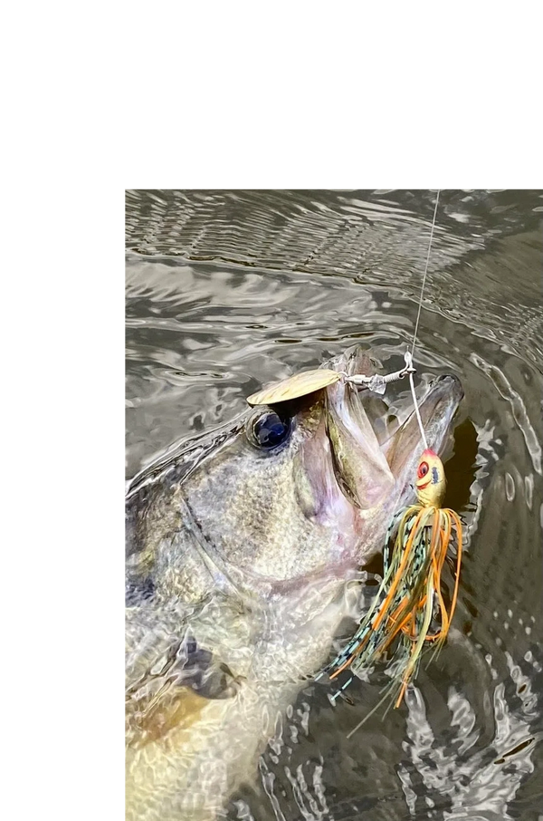 A fish caught on a colorful fishing lure in water.