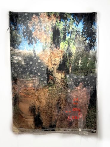 Jardin
Photographic image, embroidery, thread, and collage on fabric
53x38”
2024