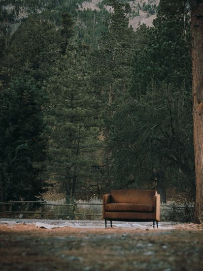 holistic therapist, las vegas therapist, asian therapist, therapist in las vegas, anxiety therapist