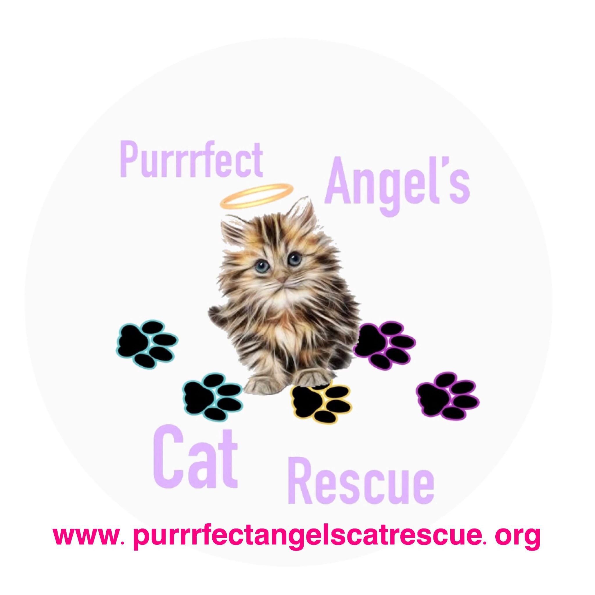 Purrrfect Angels Cat Rescue Cat Rescue, 501c3