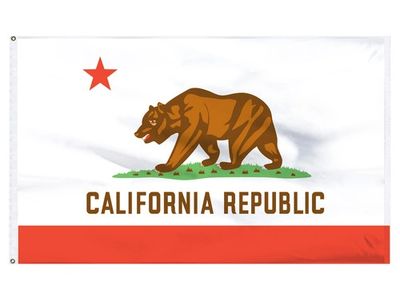 California state flag on Skibbatical