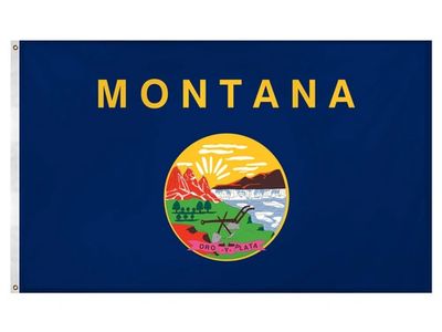 Montana flag on Skibbatical