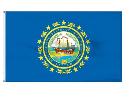 New Hampshire flag on Skibbatical