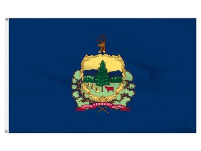 Vermont flag on Skibbatical