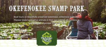 Canoeing in Okefenokee Swamp Park, exploring nature and pioneer heritage.