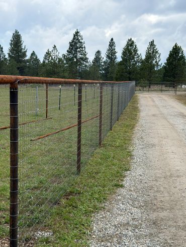 Long wire fence alongside a gravel road with pine trees in the background.