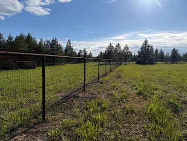 A metal fence dividing a grassy field under a sunny sky.