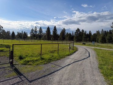 A gravel road curves alongside a fenced green field under a blue sky.