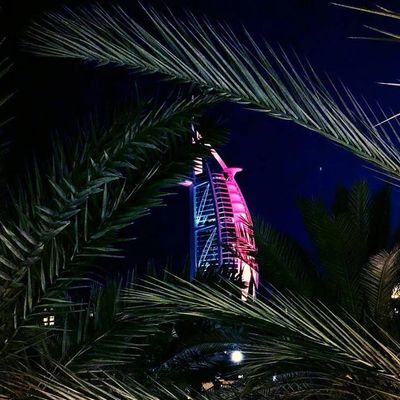 Dubai stile image consultant personal shopper