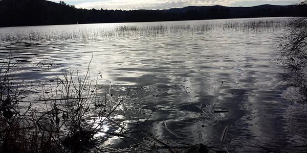 Calm lake with reeds and silhouetted shoreline at sunset.