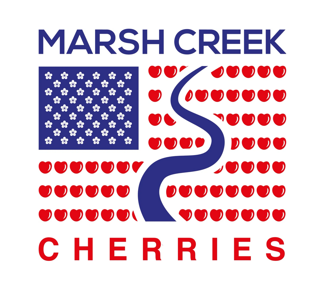 MARSH CREEK CHERRIES IN BRENTWOOD. U-PICK CHERRY FARM.