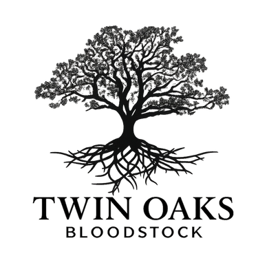 Logo of Twin Oaks Bloodstock featuring a tree with roots.