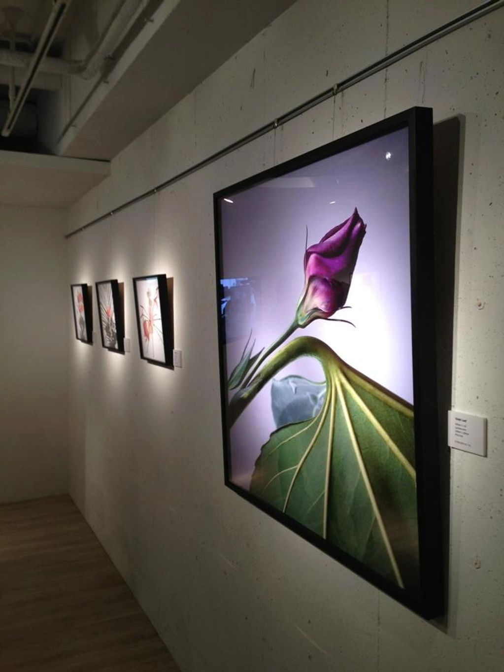 Hasselblad gallery past exhibitions