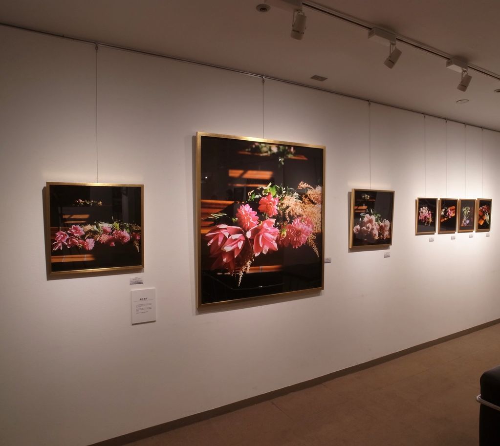 "y-Generation IV supported by HASSELBLAD Exhibition"
SEIBU Shibuya Fine Art Gallery