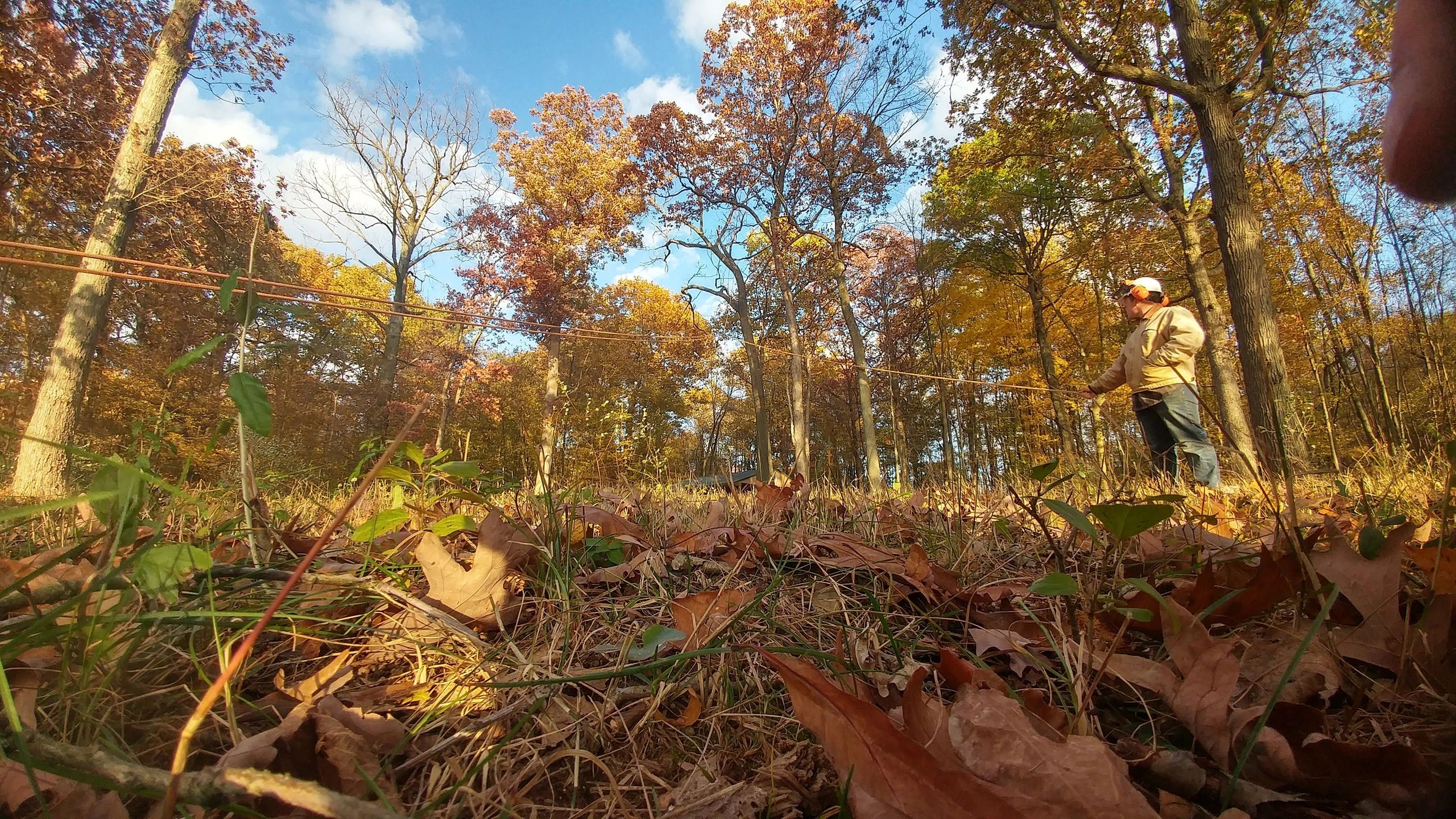S A Tree Service of Fort Wayne S & A Tree Service of Fort Wayne