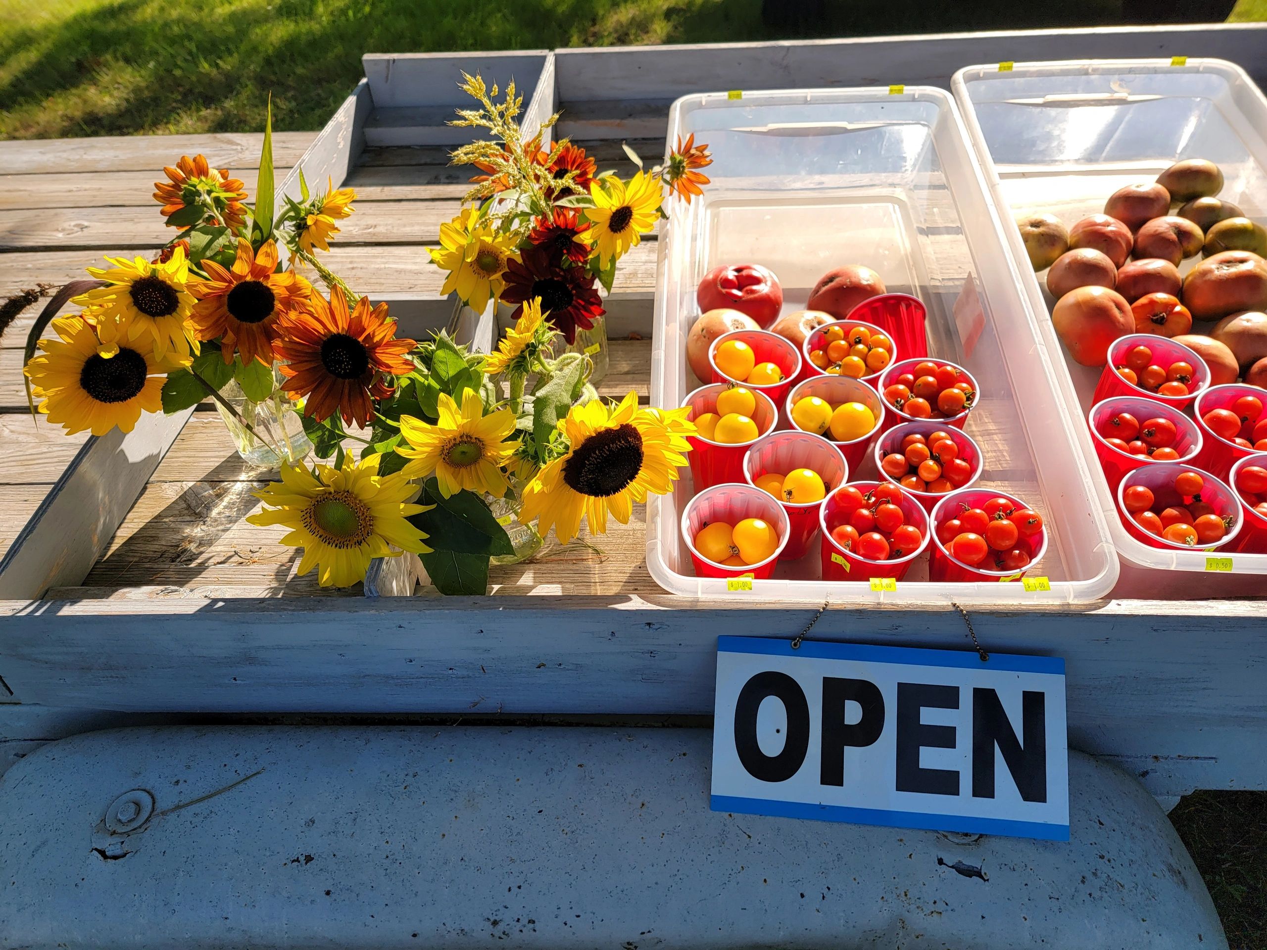 Donation trailer with tomatoes, sunflowers, and OPEN sign - For Drawn To Wood's Produce project.