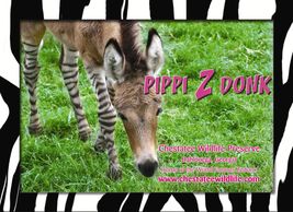 Pippi has her own business card!