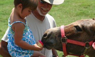 Pippi’s 1st Birthday with Bella and CW.