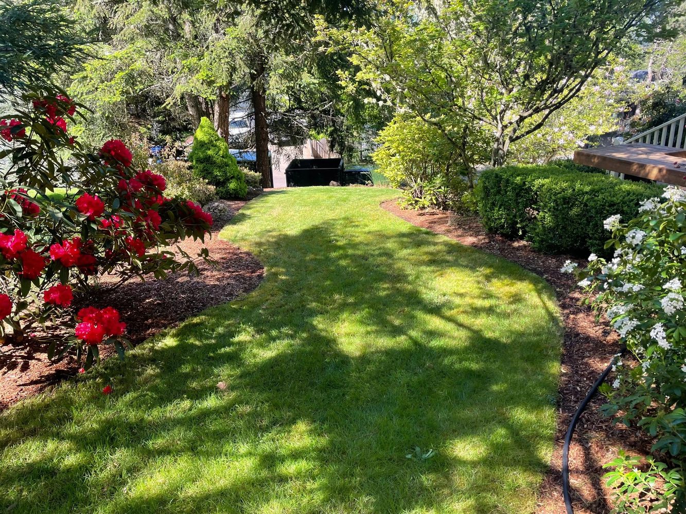 A lush, green, and colorful landscape with flowers, decking, and manicured bushes.