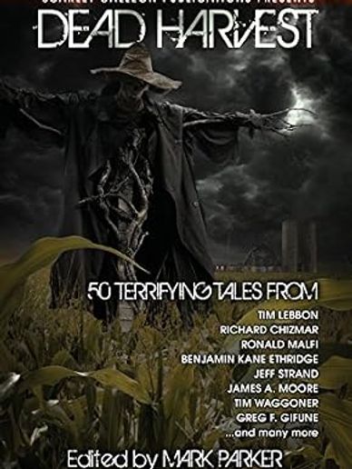 Creepy scarecrow in a dark field under a stormy sky for horror anthology cover.