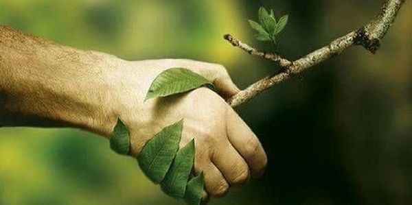 ENVIRONMENTAL BENEFITS