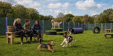 Three people watch dogs play in an outdoor agility park.