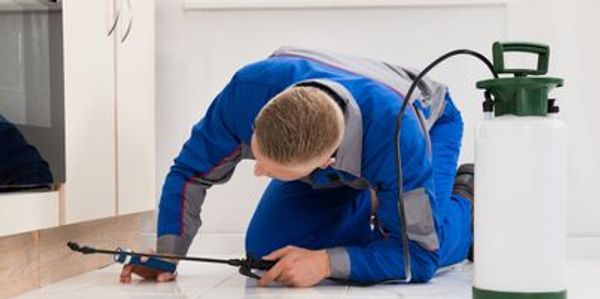Man performing pest control inspection and remediation in a house