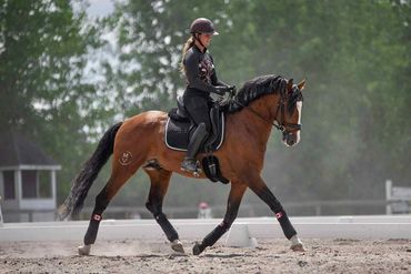 By Sandra Lachèvre Photography, with Rider Béatrice Boucher. Propriety of Keberica.