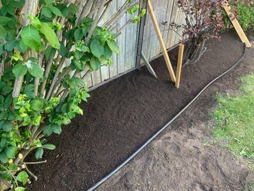 Freshly tilled garden bed along a wooden fence with green shrubs.