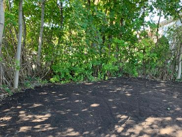 Freshly tilled soil in a shaded garden area with surrounding trees.