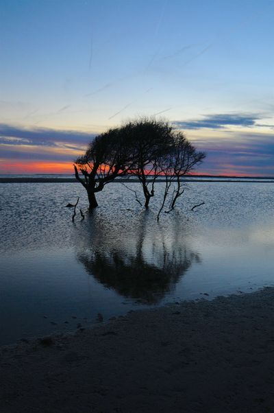 Psychoanalyst, Psychiatrist, Psychedelic therapist
Ketamine, Los Angeles and Santa Monica, CA