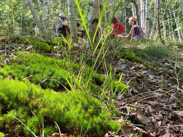 ECCCo- Early Childhood Creative Collaboration