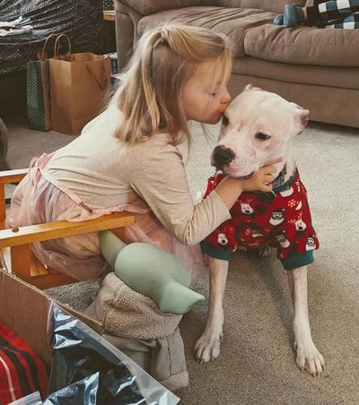 Sweet little Pit bull