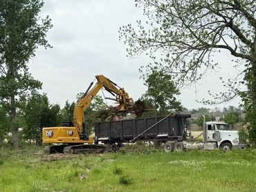 Excavator loading uprooted trees into a dump truck in a grassy area.