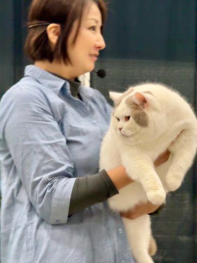 Judge LIN HUI CHIN (TW)